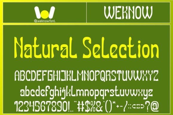 Download Natural Selection - Premium Bundle